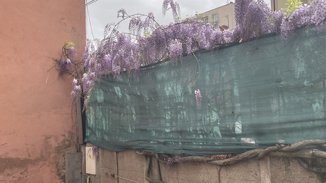 Photo of Others in Roanne