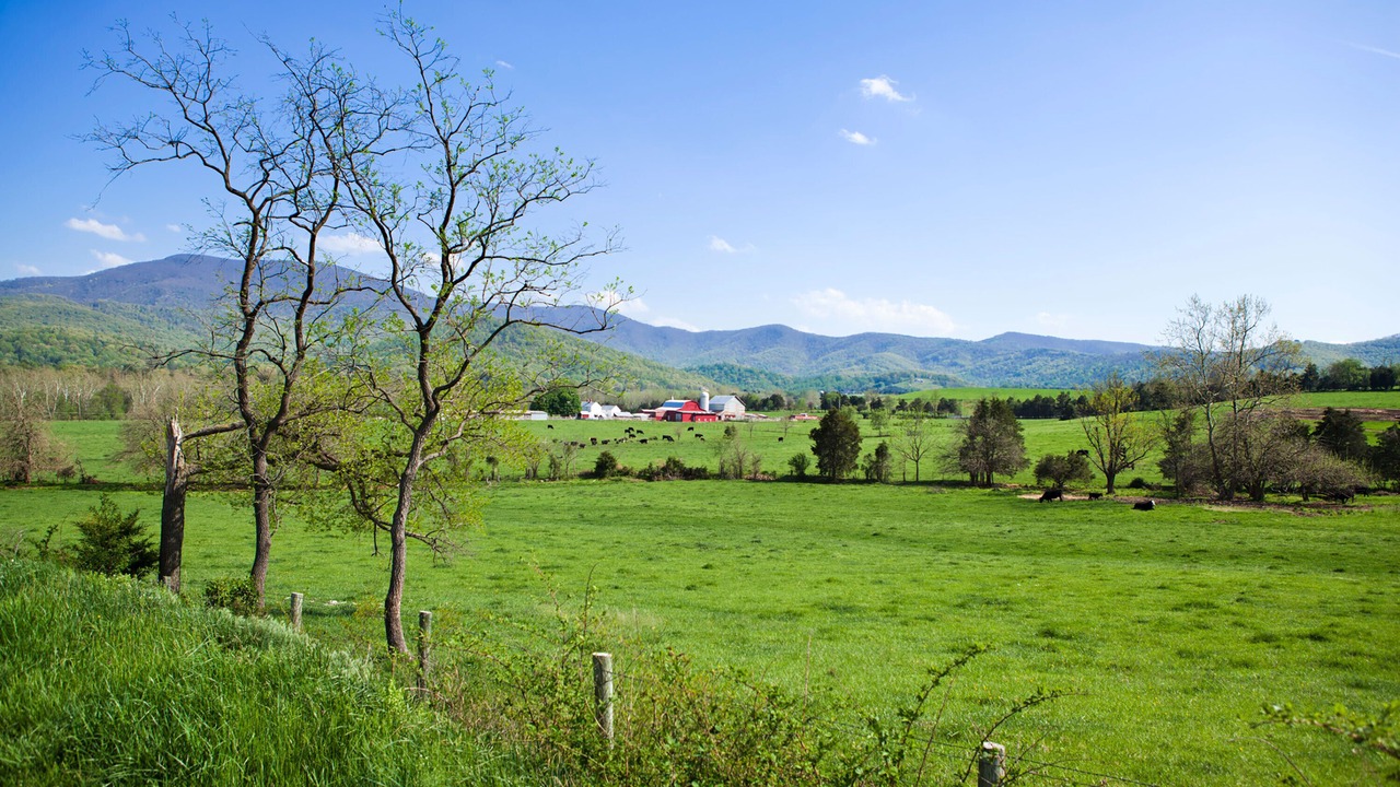 Photo of Outdoor in Stanley