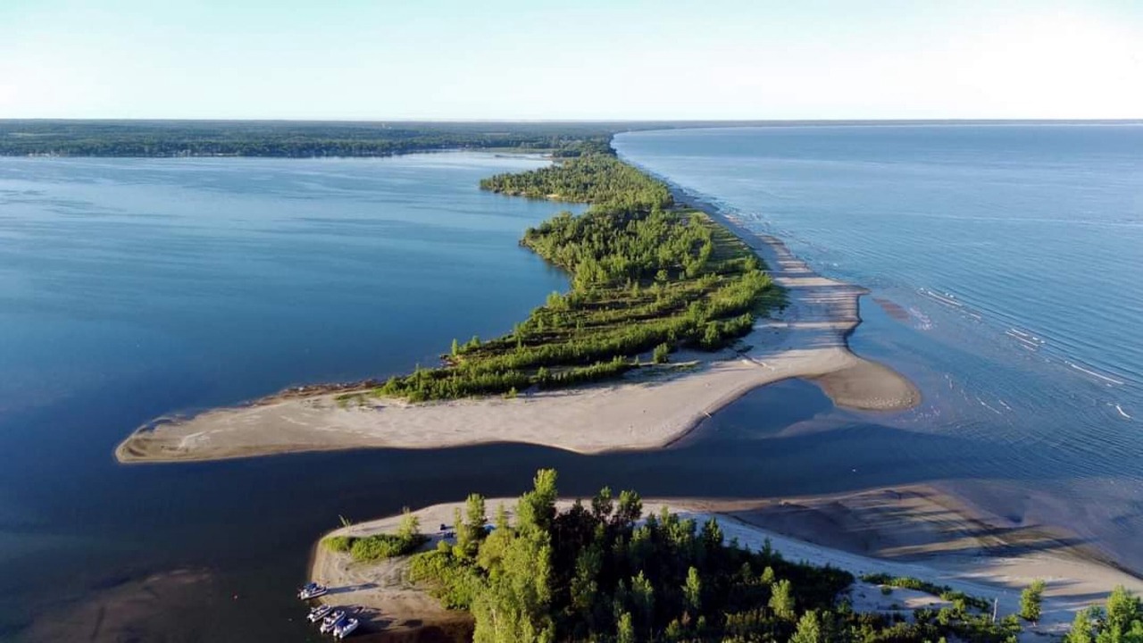 Photo of Others in Sandy Creek