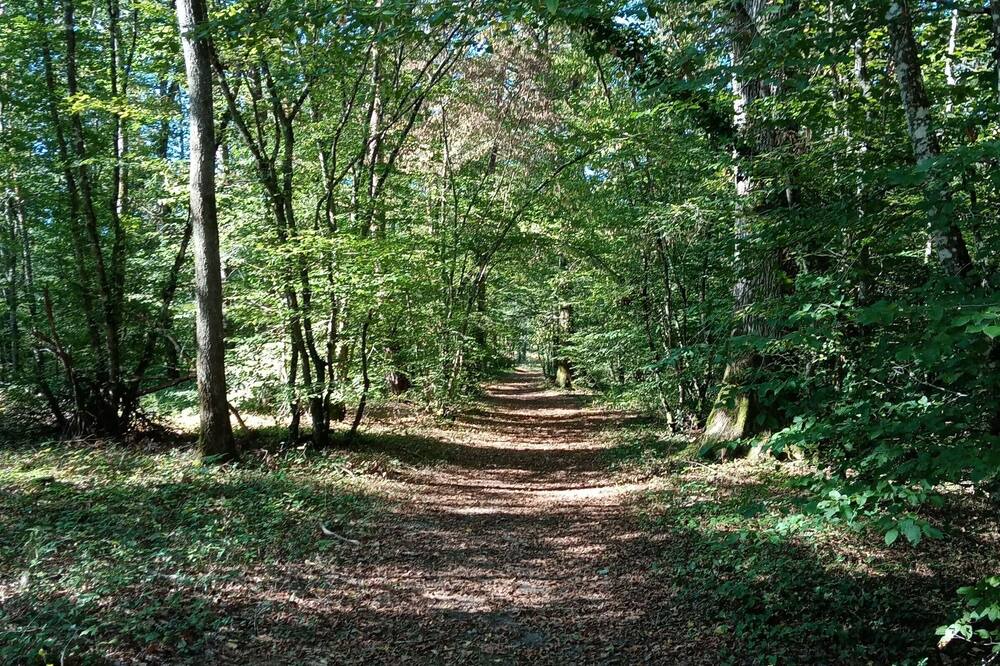 Photo of Outdoor in Vieilles-Maisons-sur-Joudry
