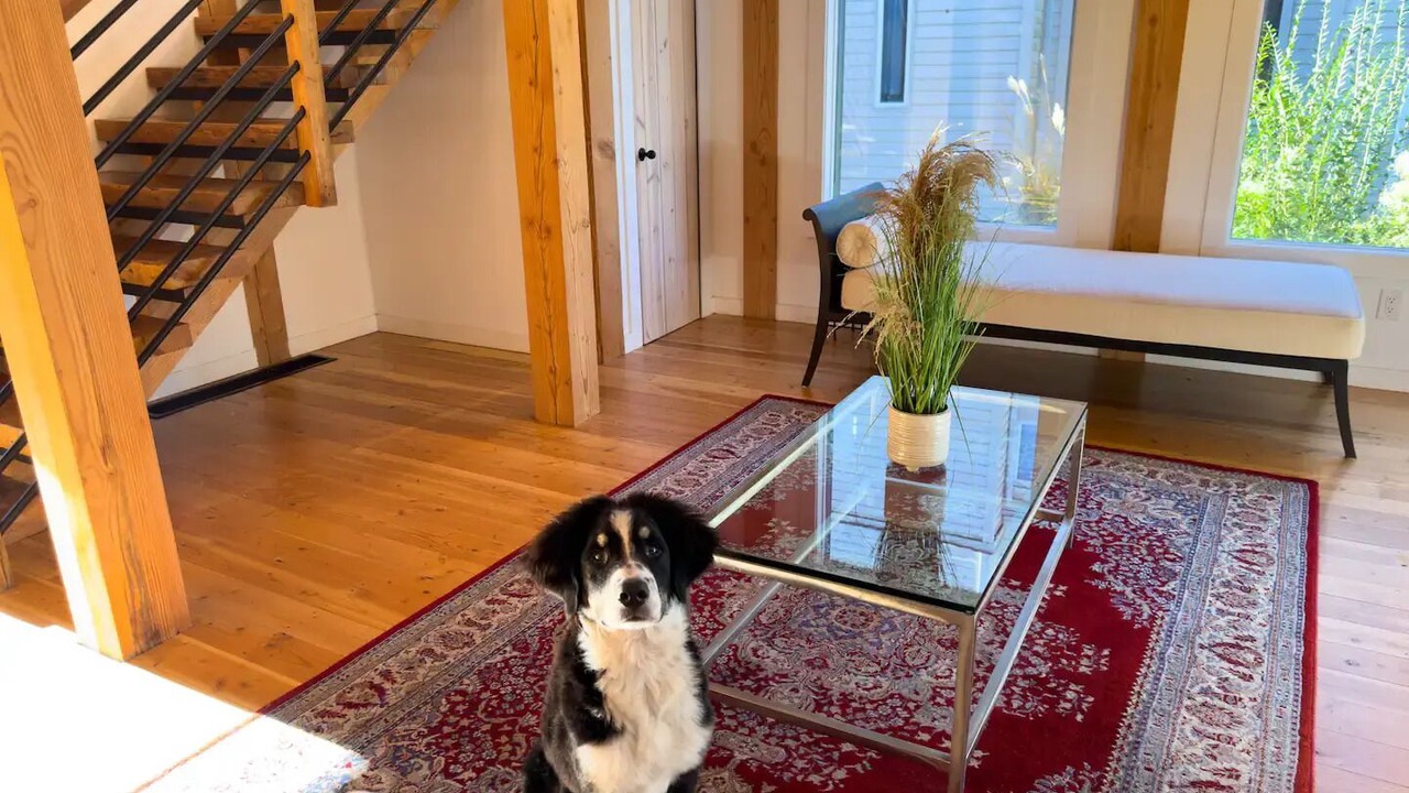 Photo of Others in Fire Island Pines