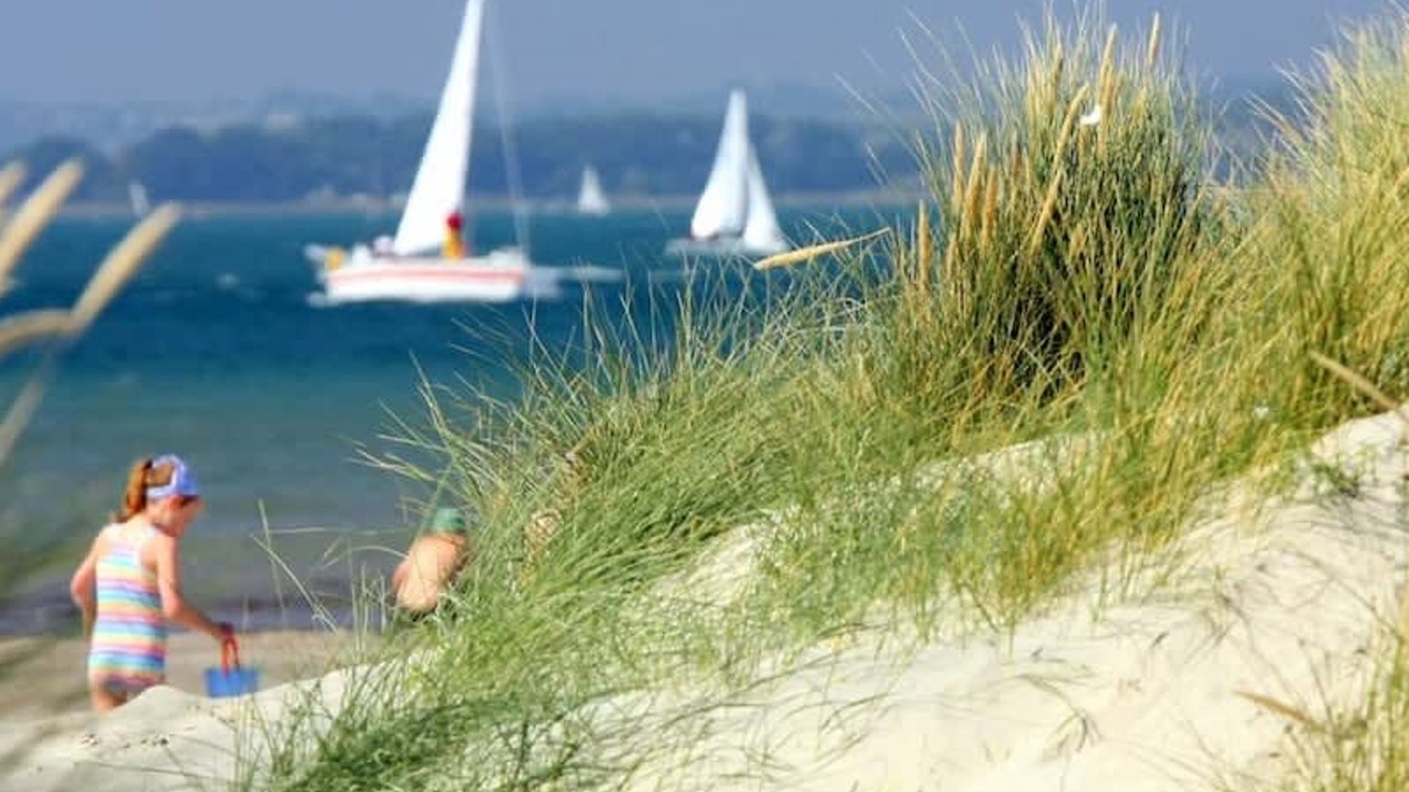 Photo of Others in Birdham