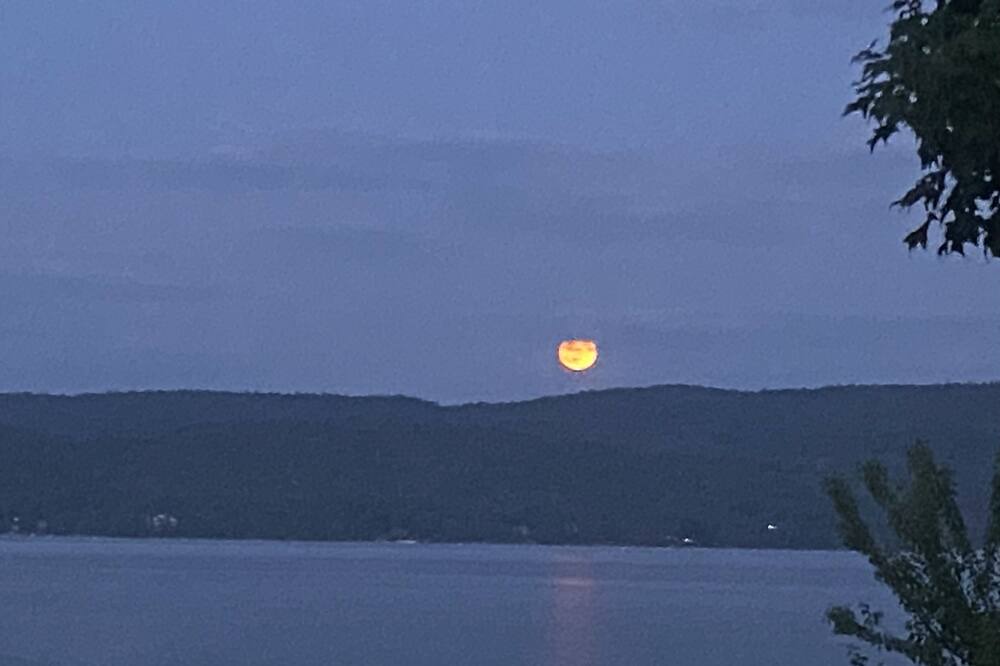 Photo of Outdoor in North Lake George