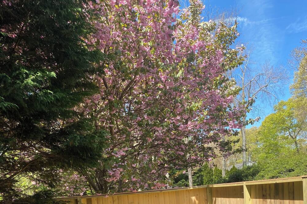 Photo of Outdoor in East Shoreham