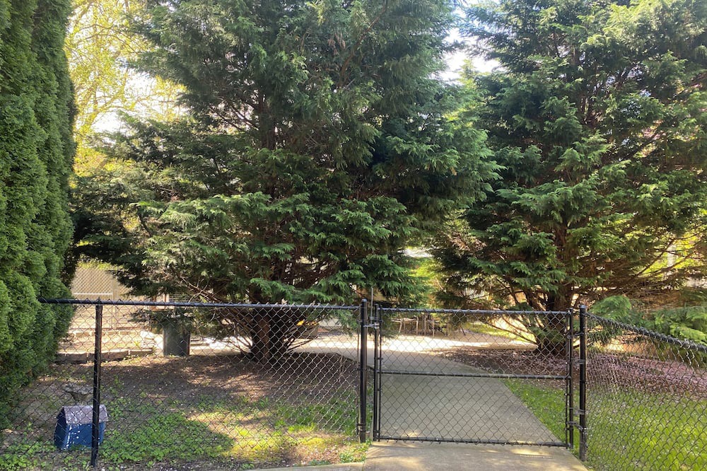 Photo of Outdoor in East Shoreham