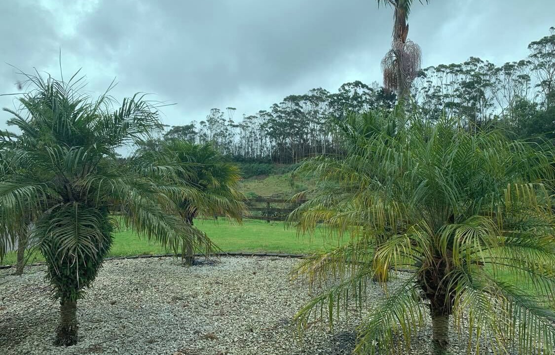 Photo of Outdoor in Glenbrook