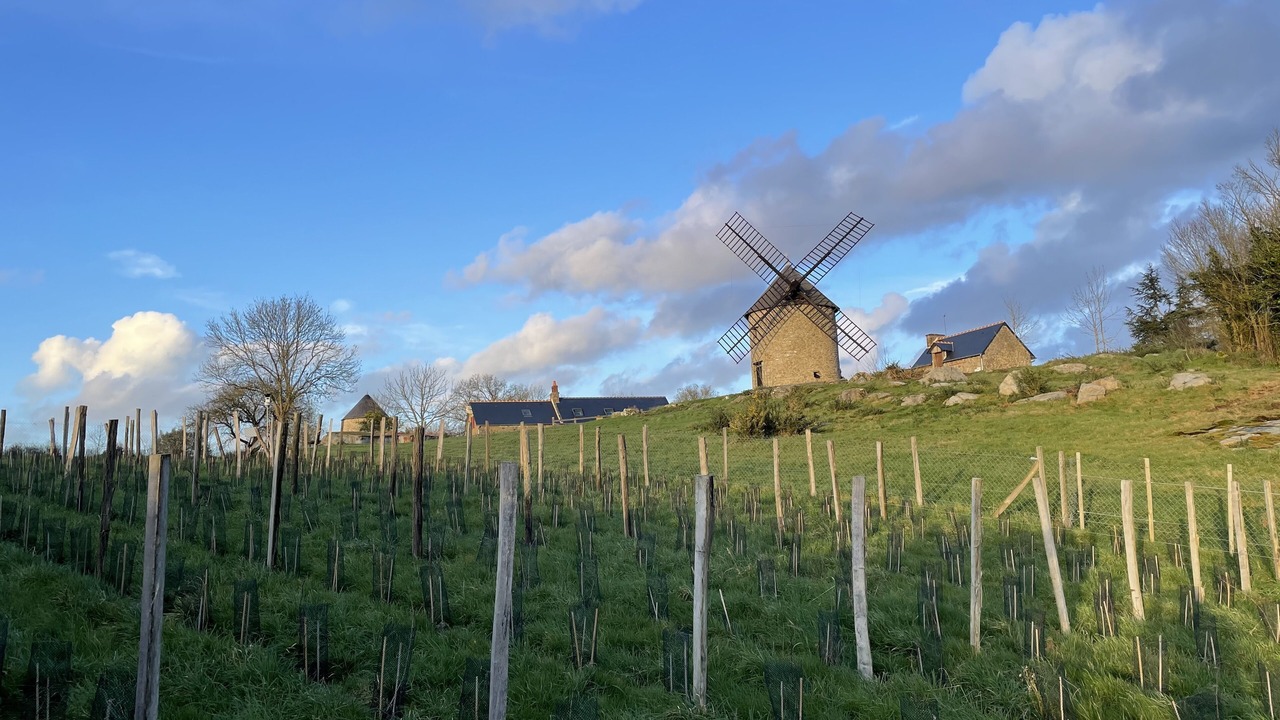 Photo of Outdoor in Mont-Dol
