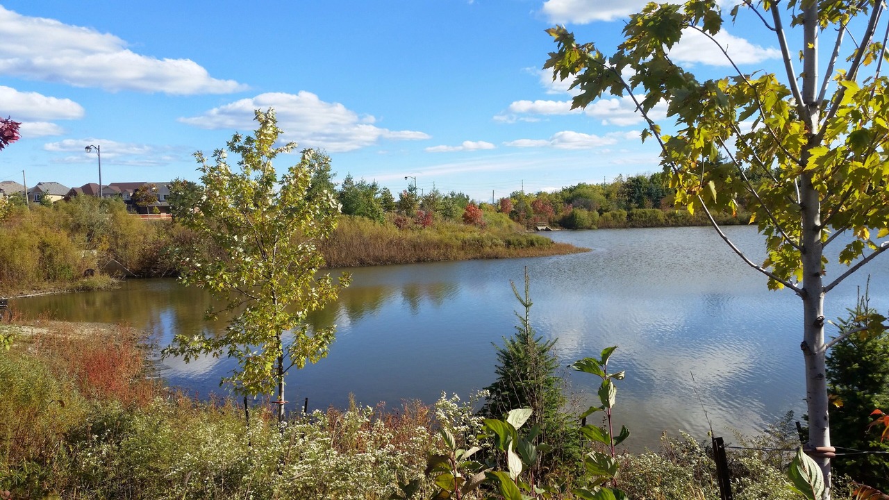 Photo of Others in Halton Regional Municipality
