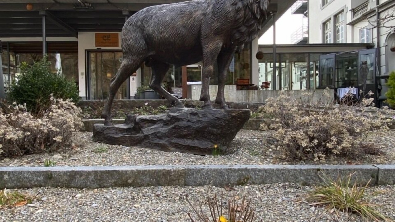 Photo of Outdoor in Central Interlaken