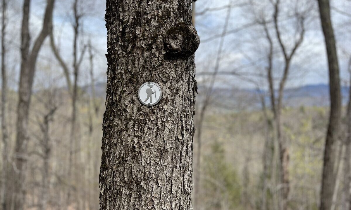 Photo of Others in Keene
