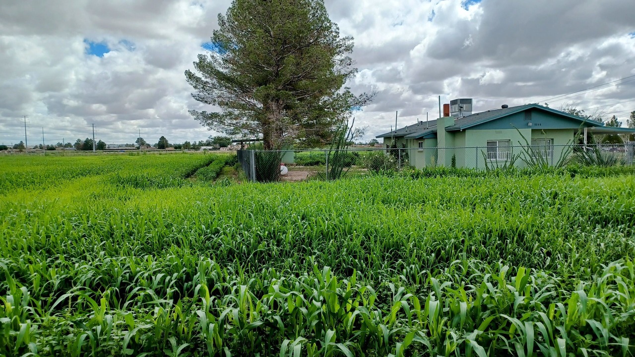 Photo of Outdoor in El Paso