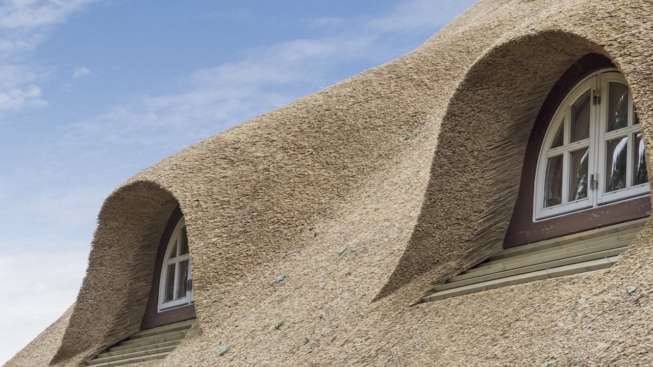 Photo of Outdoor in Gram