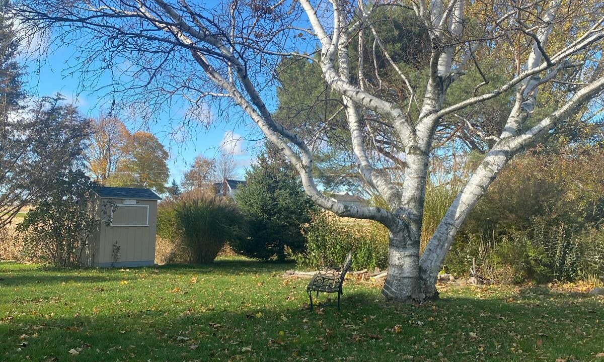 Photo of Outdoor in Rodney