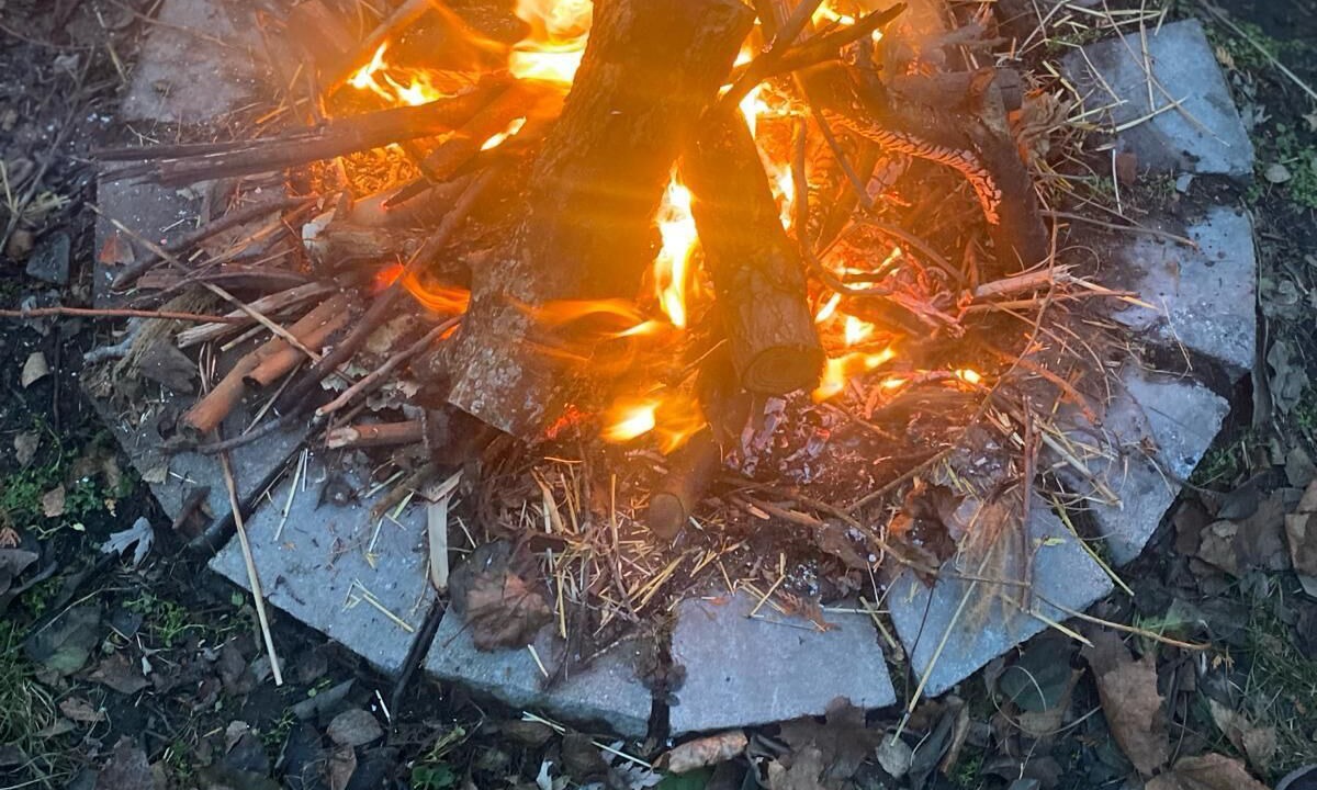 Photo of Outdoor in Rodney