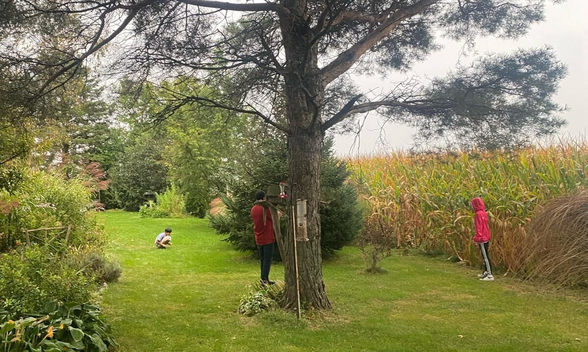 Photo of Outdoor in Rodney