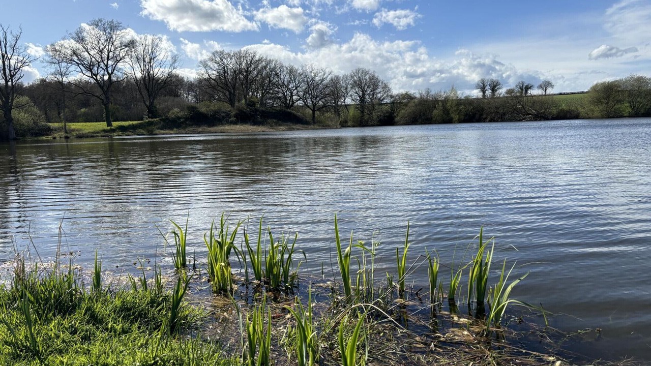 Photo of Others in Haut-Bocage