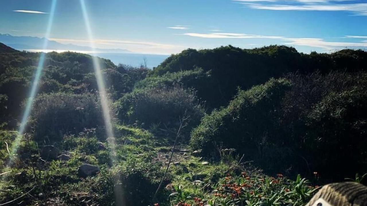 Photo of Outdoor in Ersa