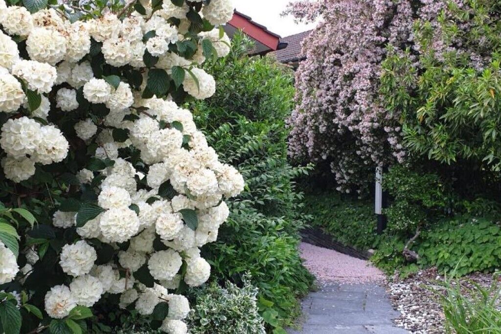 Photo of Outdoor in Steinegg