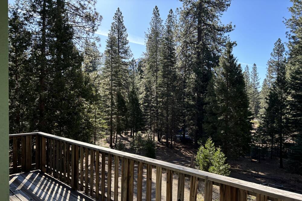Photo of Outdoor in Weed
