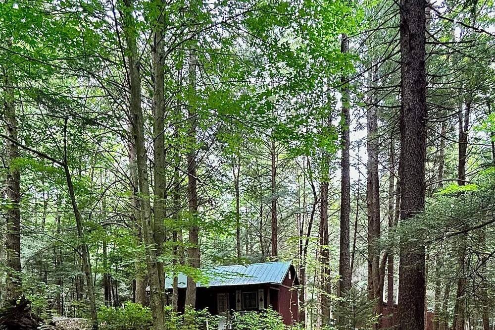 Photo of Outdoor in Glady