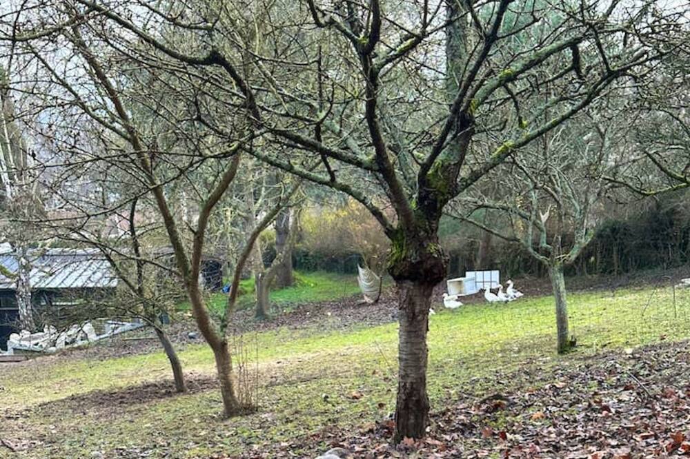 Photo of Outdoor in Parmain