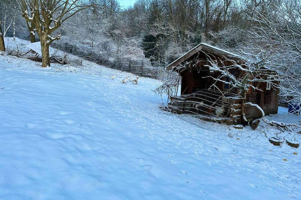 Photo of Outdoor in Parmain