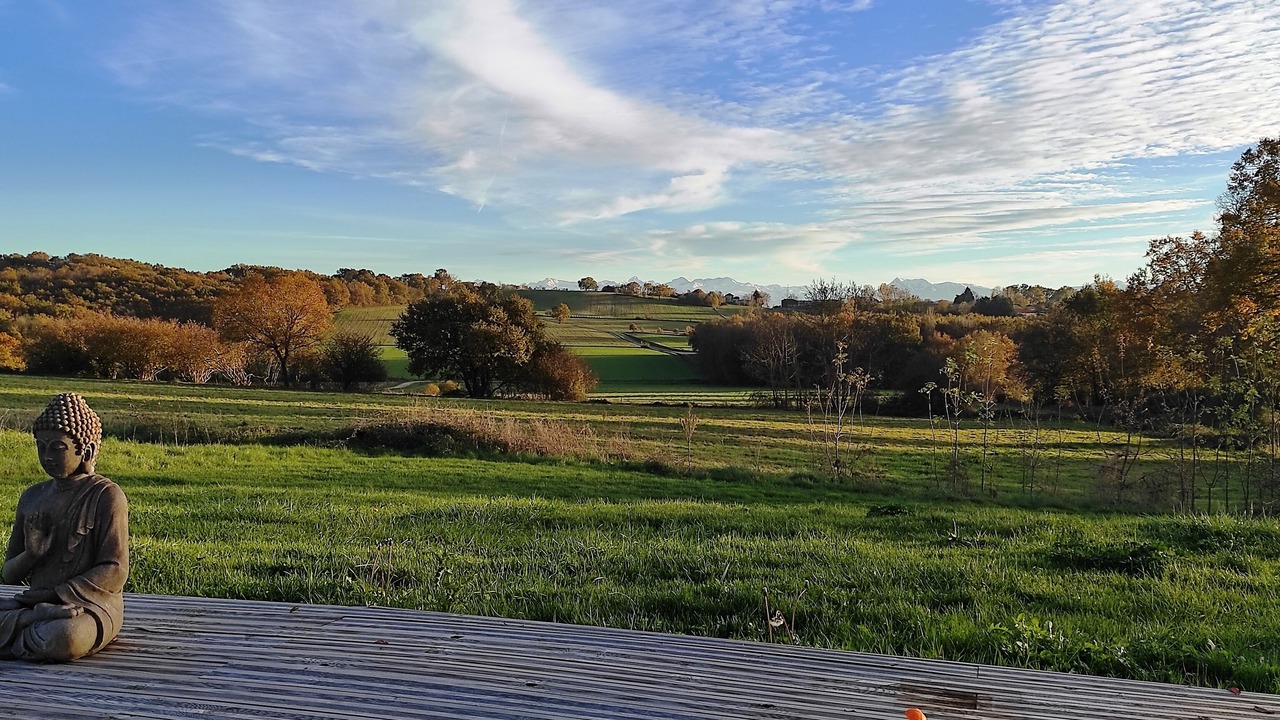 Photo of Outdoor in Montgaillard-sur-Save