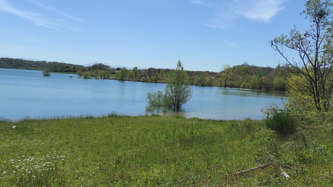 Photo of Outdoor in Montgaillard-sur-Save