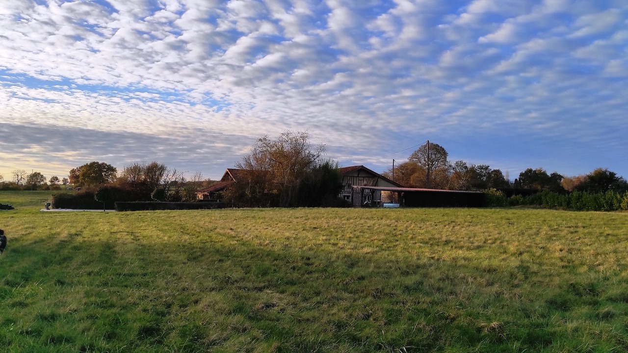 Photo of Others in Montgaillard-sur-Save