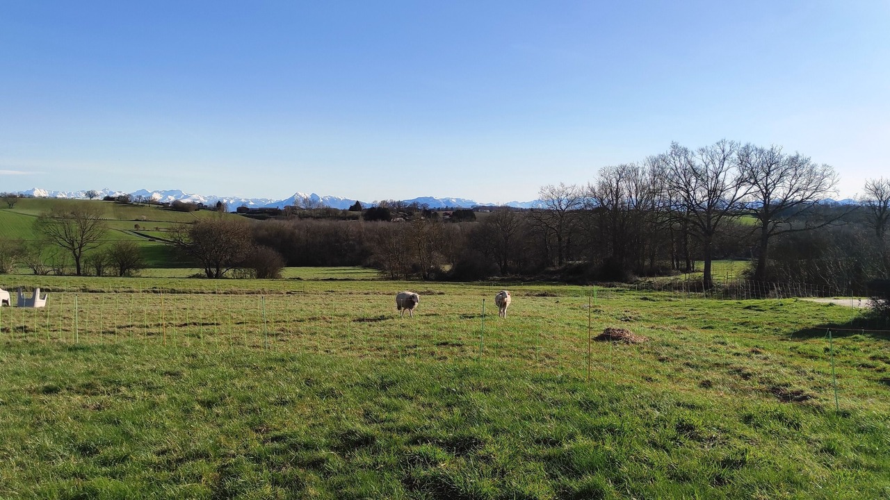 Photo of Outdoor in Montgaillard-sur-Save