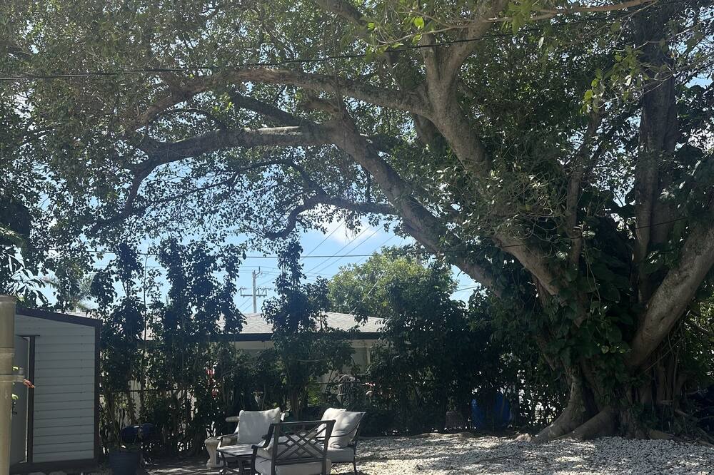 Photo of Outdoor in Lake Ridge