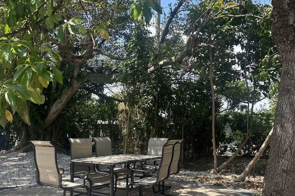 Photo of Outdoor in Lake Ridge