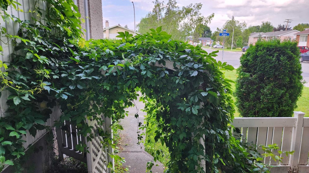 Photo of Outdoor in Saint-Hubert
