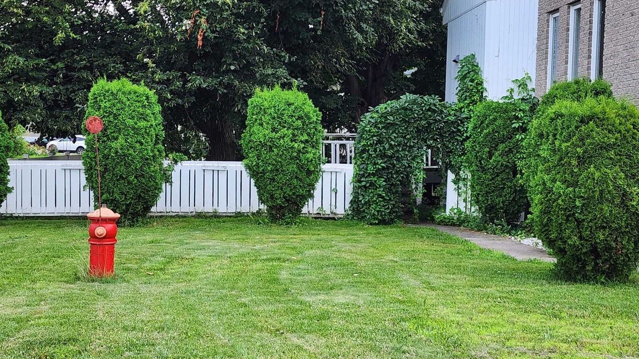 Photo of Outdoor in Saint-Hubert