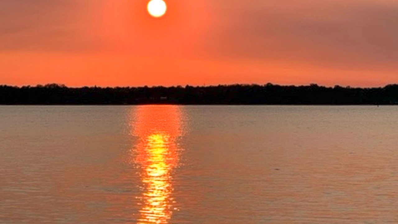 Photo of Others in Cayuga