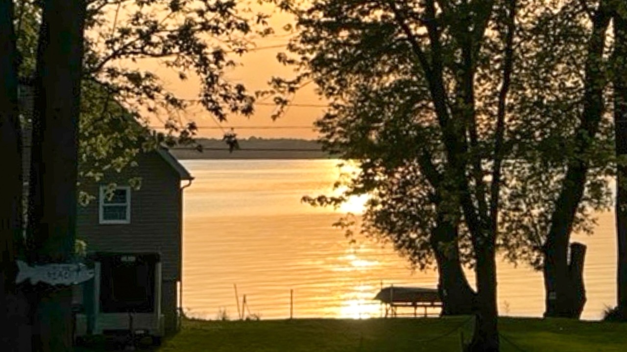 Photo of Others in Cayuga