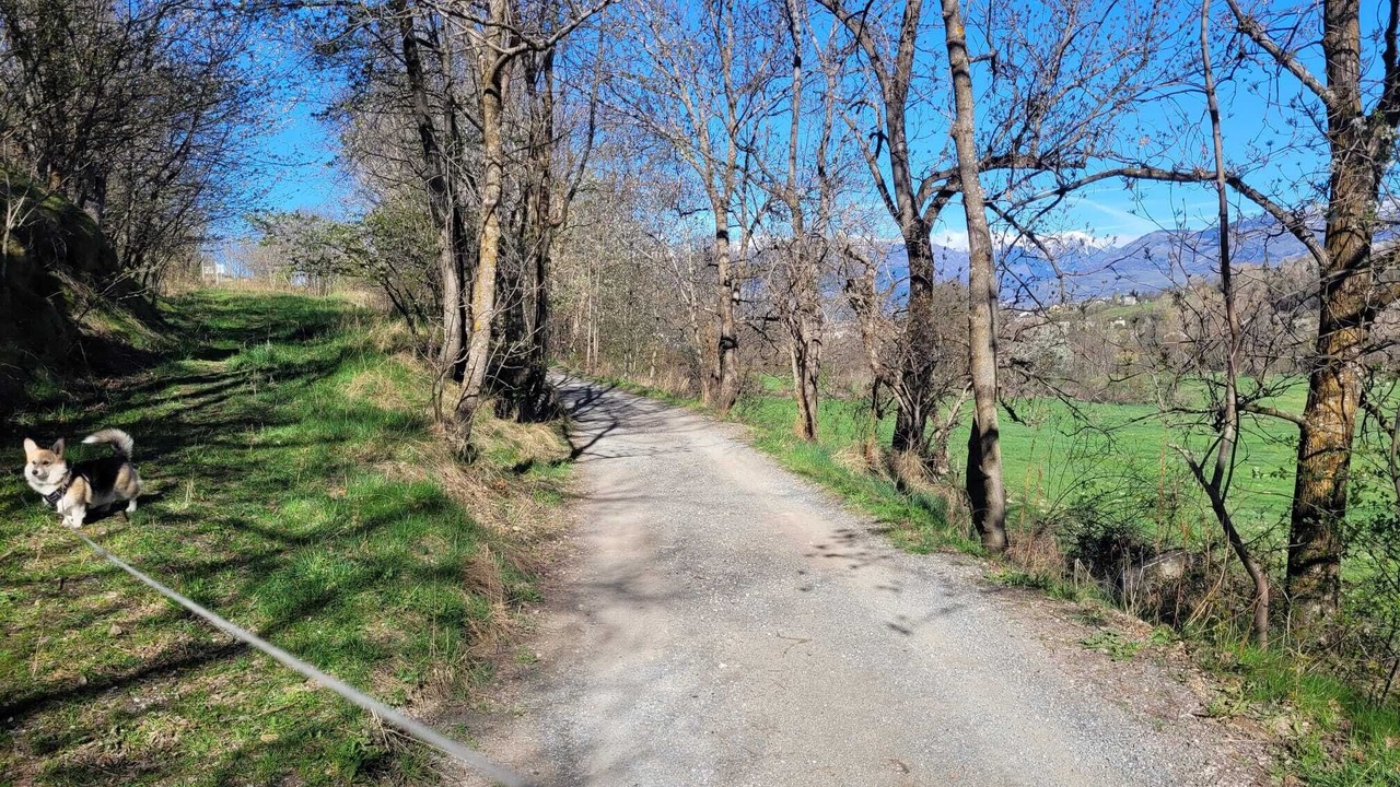 Photo of Outdoor in Osseja