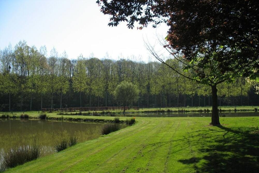 Photo of Outdoor in Bouchamps-les-Craon