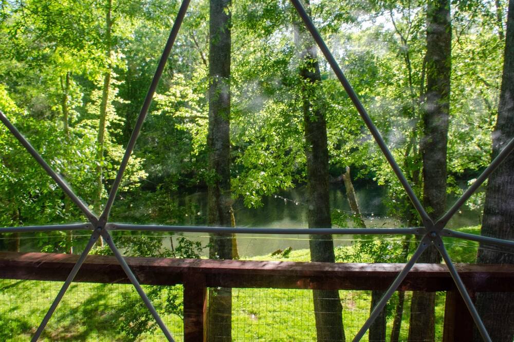 Photo of Outdoor in Brownsboro