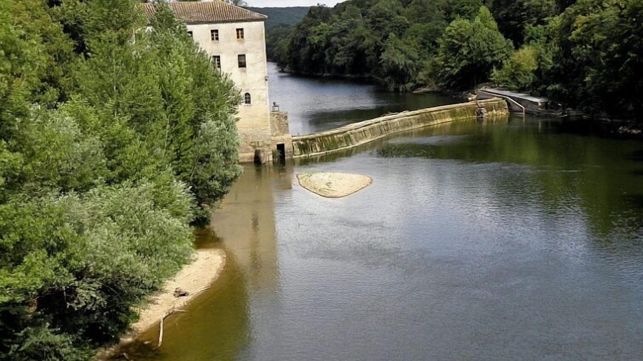Photo of Others in Montauban