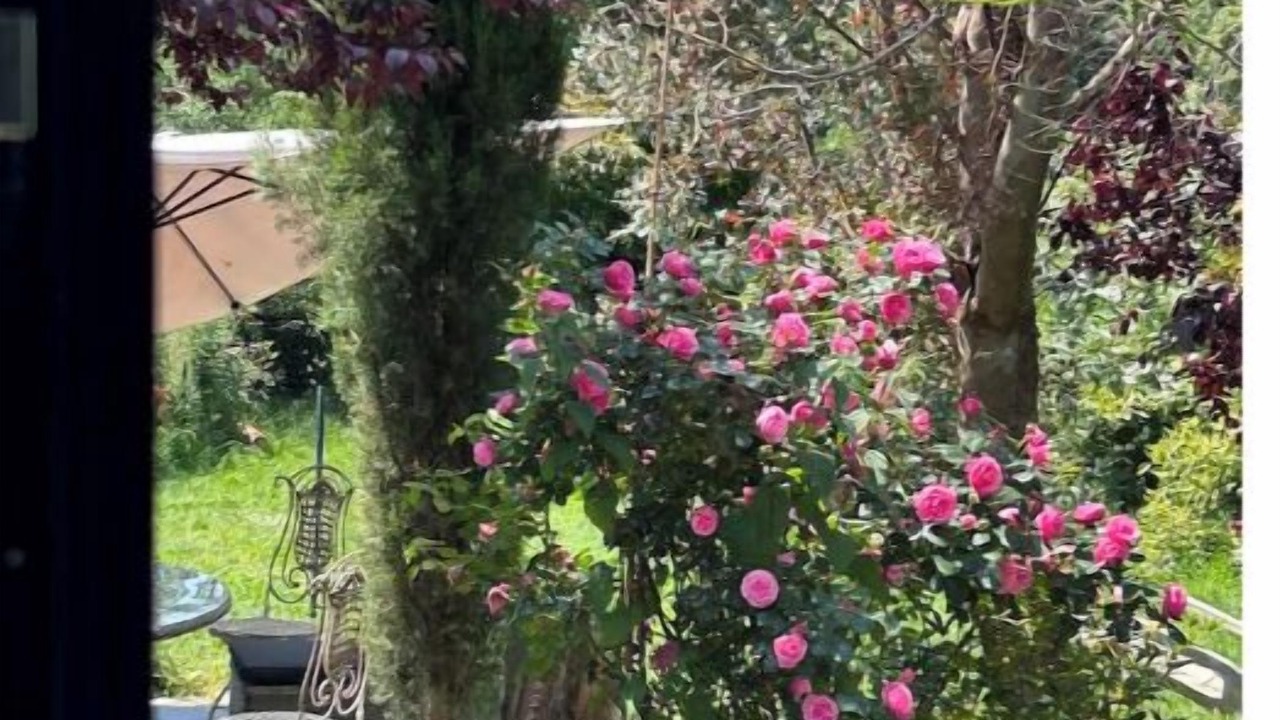 Photo of Outdoor in Manneville-la-Pipard