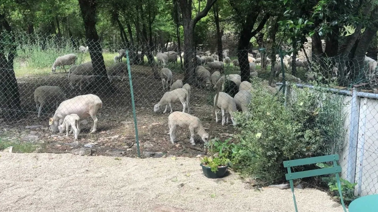 Photo of Outdoor in Pompignan