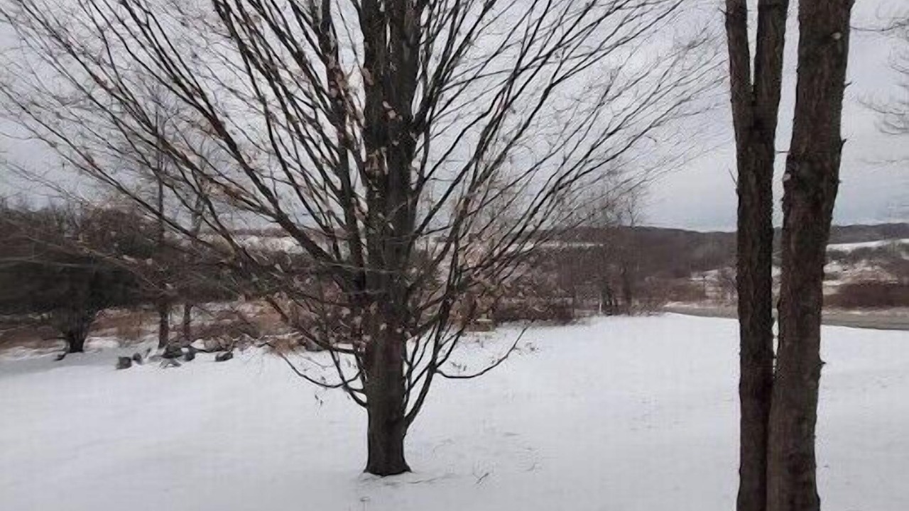 Photo of Others in Andover