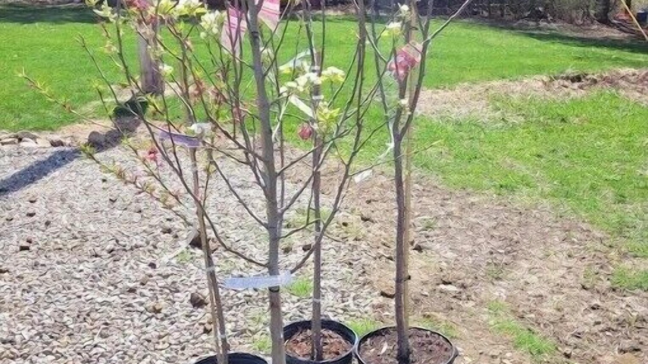 Photo of Outdoor in Andover