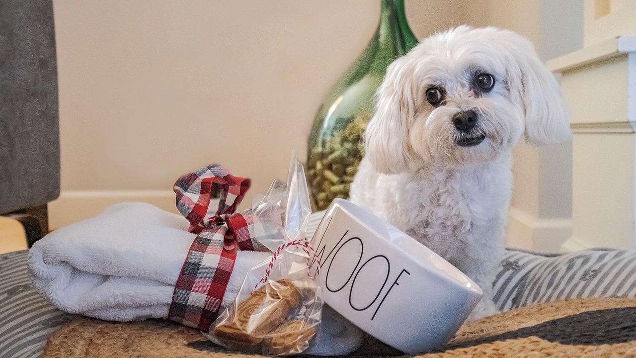 Photo of Others in Orenco Station