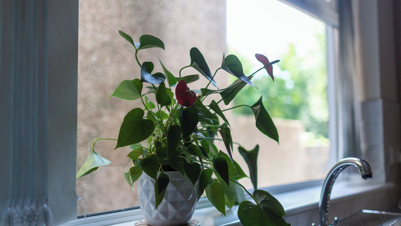 Photo of Others in Gorseinon