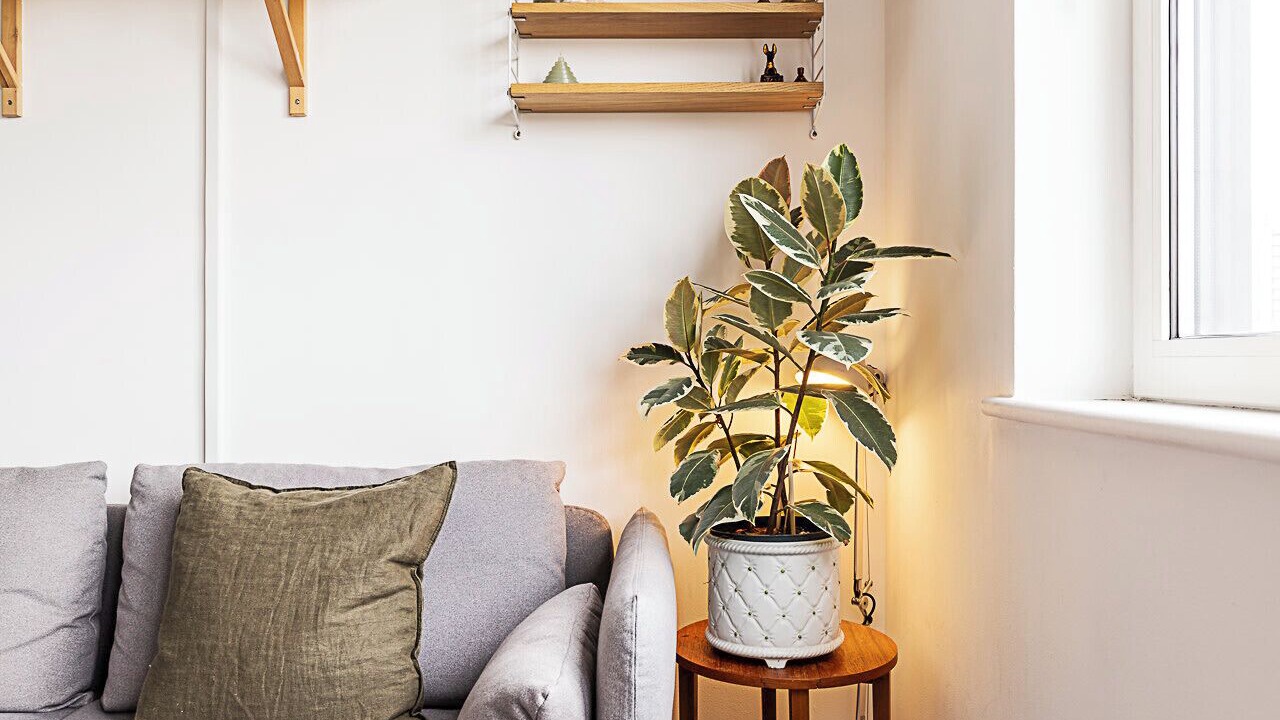 Photo of Others in Dalston