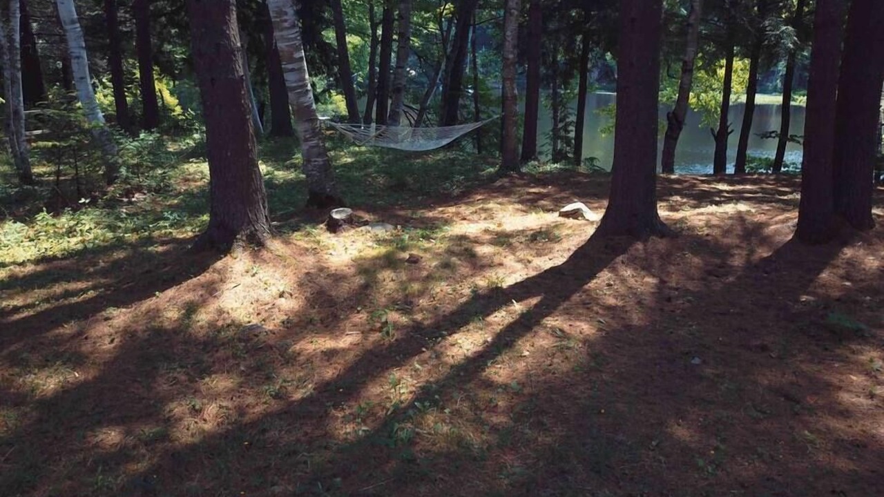 Photo of Others in Belgrade