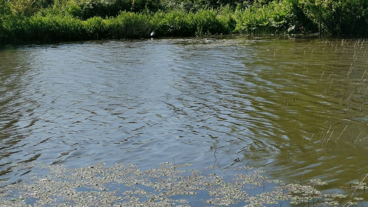 Photo of Others in Saint-Christophe-du-Ligneron