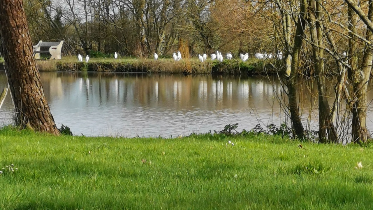 Photo of Outdoor in Saint-Christophe-du-Ligneron
